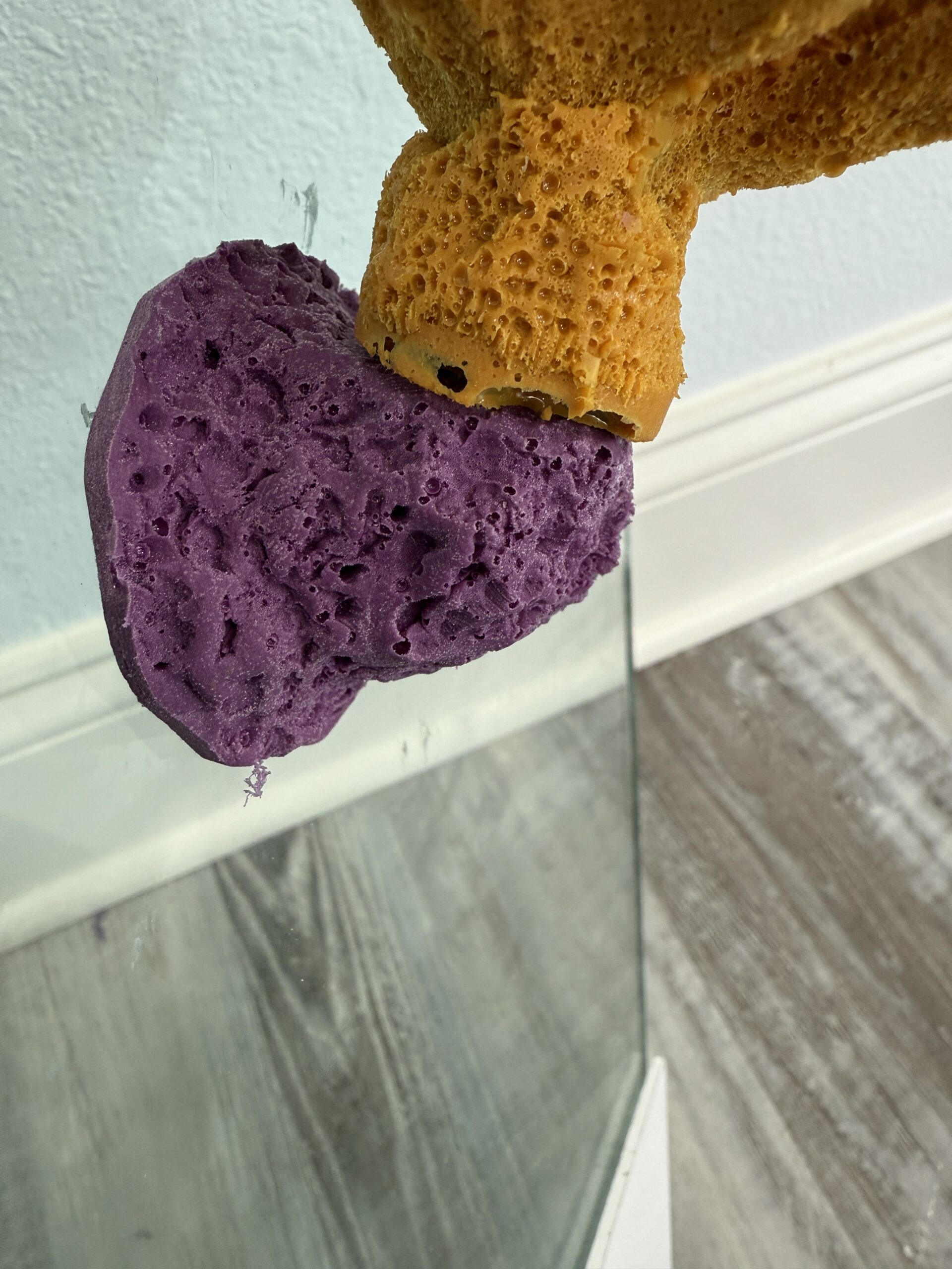 MAGNETIC 1 Hole Frag Rack/Frag Rock for Live Coral Plug Ons/Reef Aquarium - Image 5