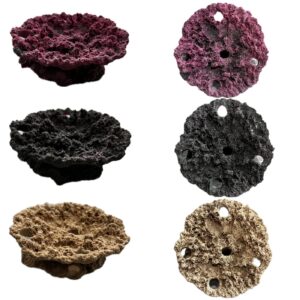 SANDBED 5 Hole Acropora Plate Frag Rack/Rock for Live Coral Plug Ons