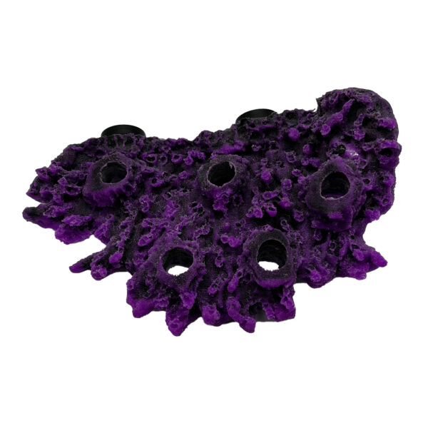 5 Hole Shelf Acropora Frag Rock MAGNETIC - Image 3