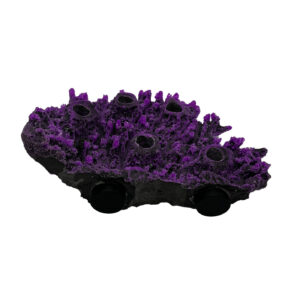 5 Hole Shelf Acropora Frag Rock MAGNETIC