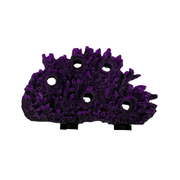 5 Hole Shelf Acropora Frag Rock MAGNETIC - Image 4