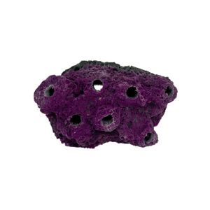 7 Hole Sandbed Frag Rock