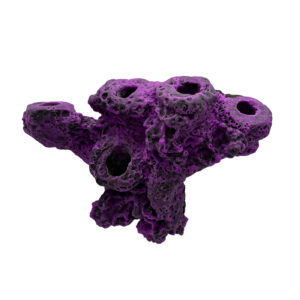 5 Hole Coral Frag Rock MAGNETIC