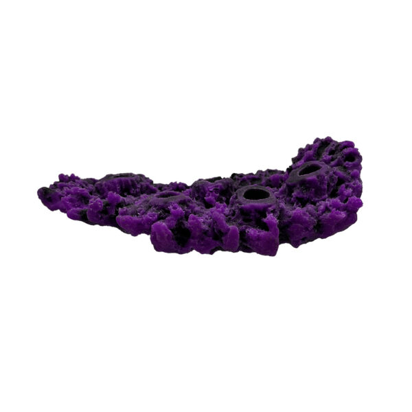 5 Hole Shelf Acropora Frag Rock MAGNETIC - Image 2