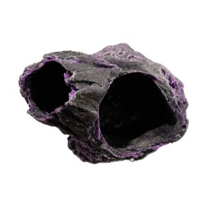 Barnacle Swim Through MAGNETIC