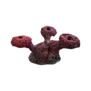 4 Hole Sandbed Tripod Frag Rock