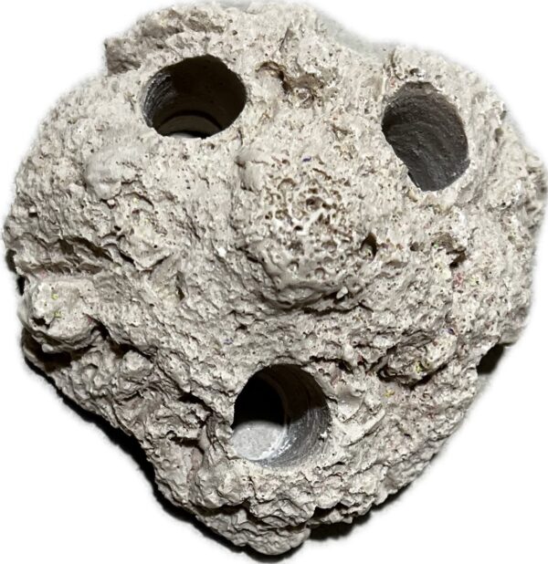 SANDBED 3 Hole Coral Frag Rack/Rock for Live Coral Plug Ons - Image 4
