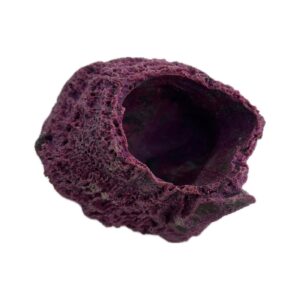 Large Barnacle MAGNETIC