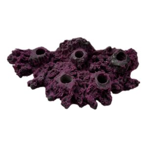 MAGNETIC 5 Hole Shelf Acropora Frag Rack/Rock for Live Coral Plug Ons