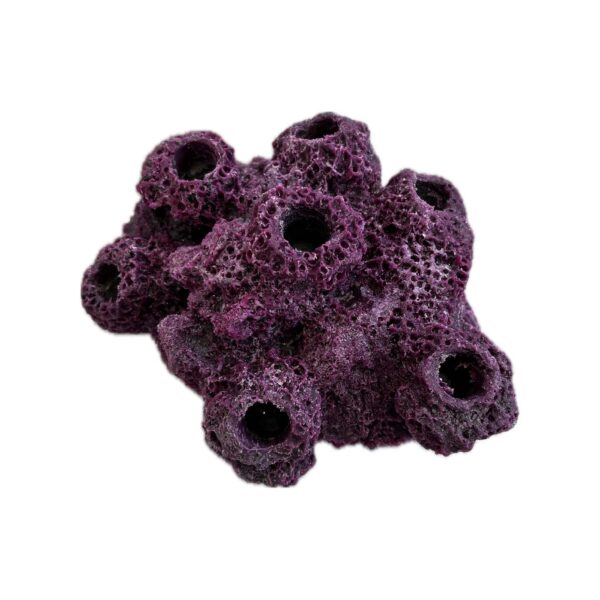7 Hole Sandbed Barnacle Cave Frag Rock - Image 2