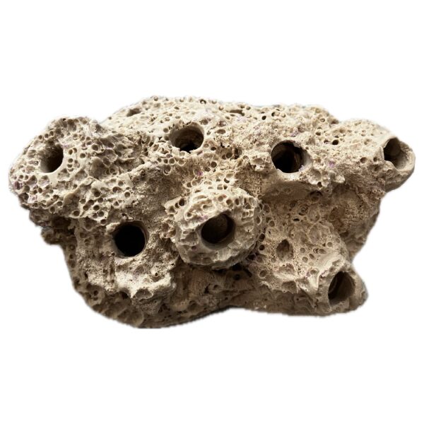 SANDBED 7 Hole Frag Plug Rack/Rock for Live Coral Plug Ons - Image 4