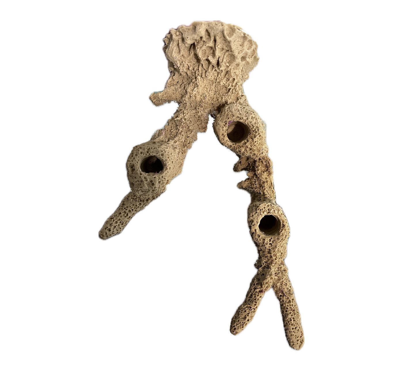 MAGNETIC 3 Hole Acropora Branch Coral Frag Rack/Rock for Live Coral Plug Ons - Image 4