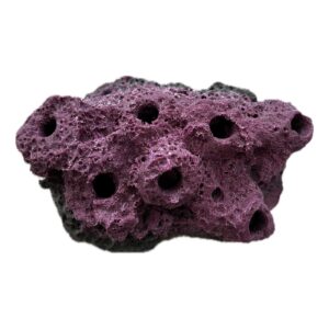 SANDBED 7 Hole Frag Plug Rack/Rock for Live Coral Plug Ons - Coralline Purple