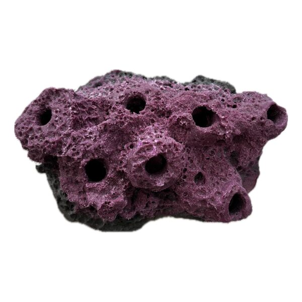 SANDBED 7 Hole Frag Plug Rack/Rock for Live Coral Plug Ons - Image 3