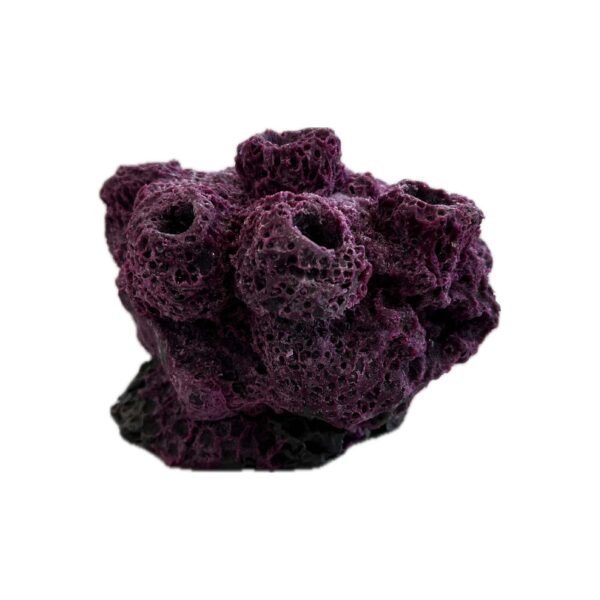 7 Hole Sandbed Barnacle Cave Frag Rock - Image 3