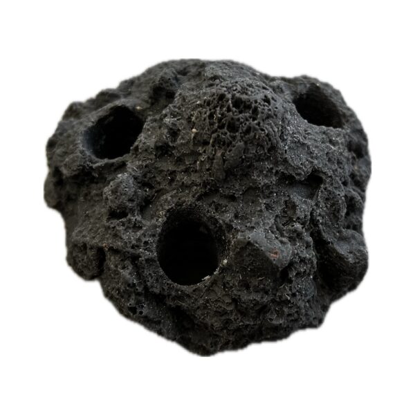 SANDBED 3 Hole Coral Frag Rock plug on for live corals