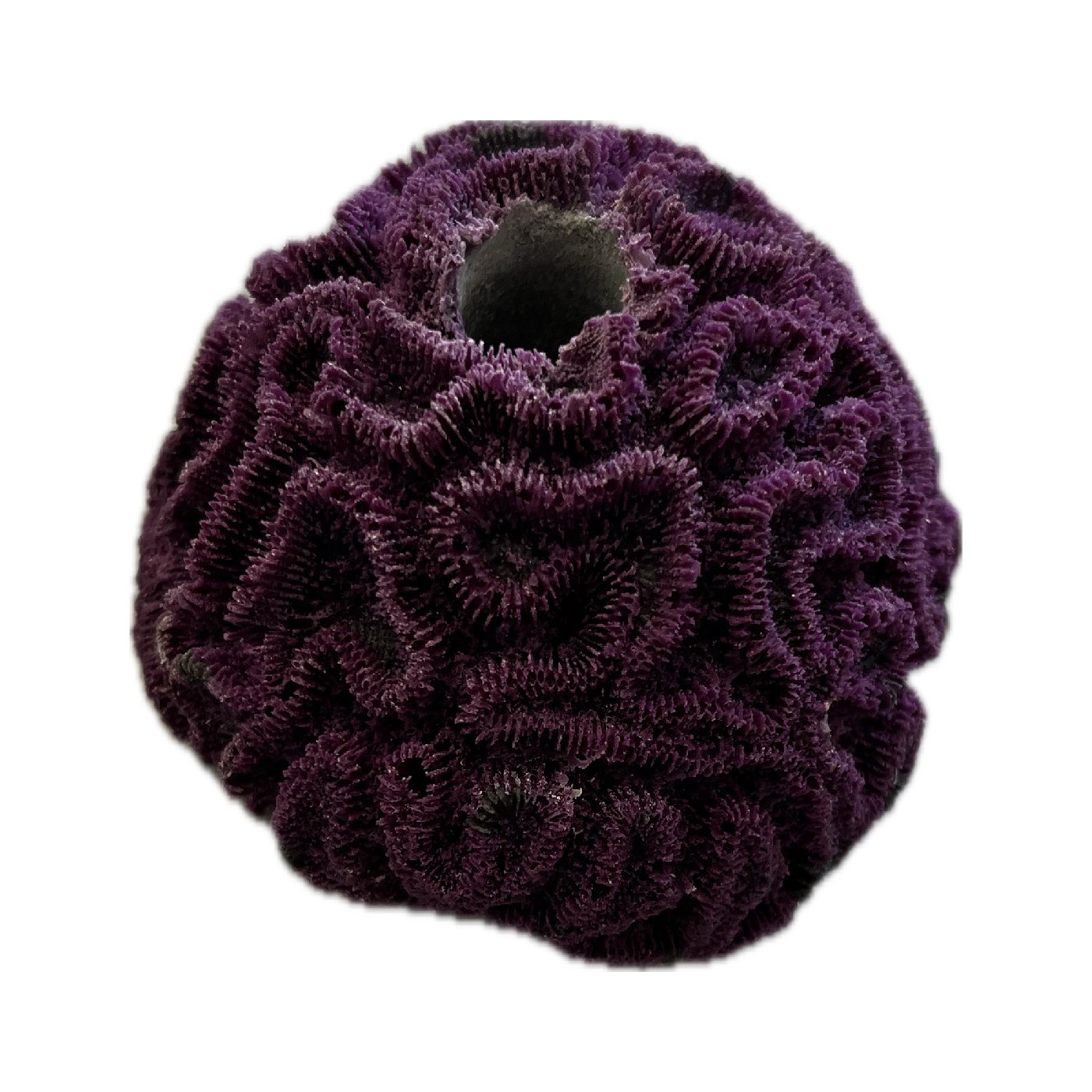 SANDBED 1 Hole Mini Brain Coral Frag Rack/Rock for Live Coral Plug Ons
