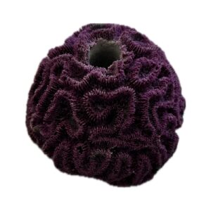 SANDBED 1 Hole Mini Brain Coral Frag Plug on Rock for live corals