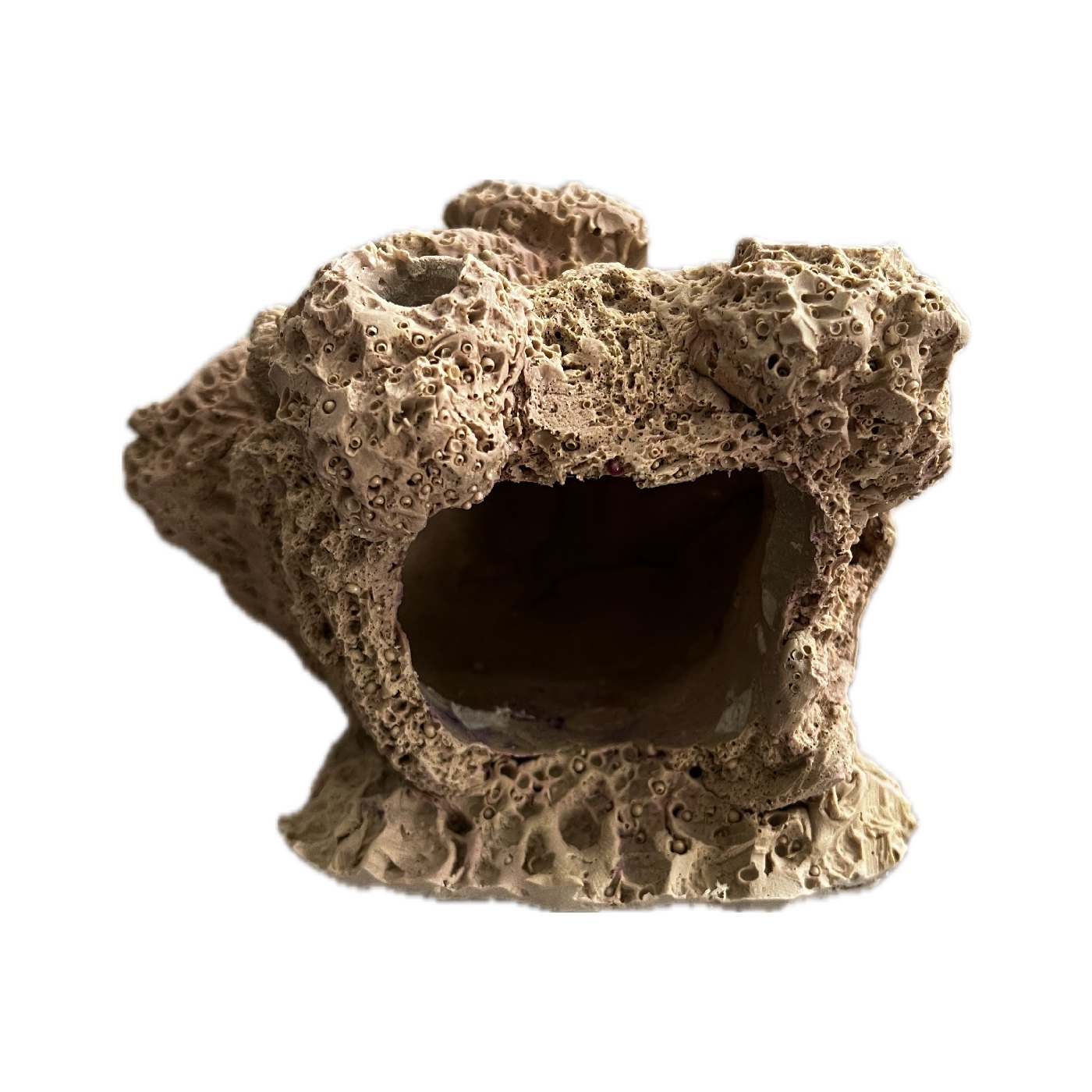 SANDBED 7 Hole Barnacle Cave Frag Rack/Rock for Live Coral Plug Ons - Image 3