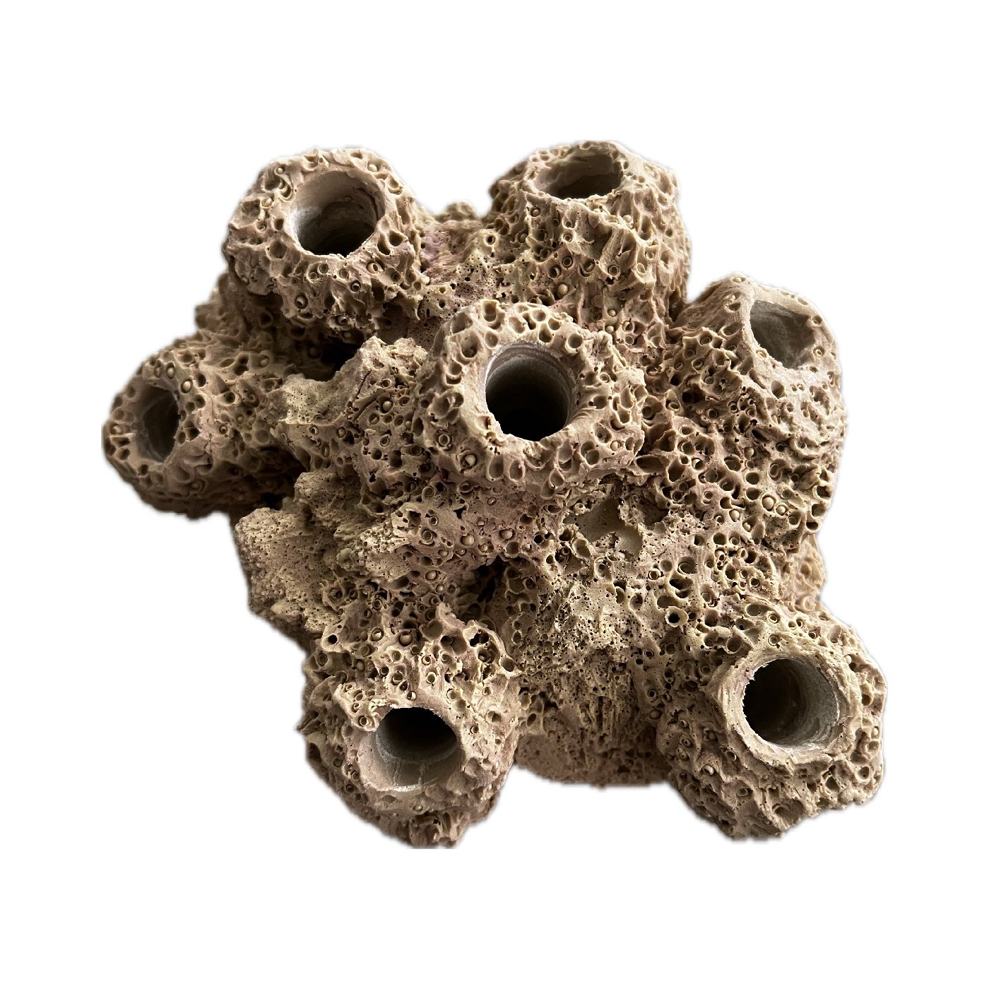 SANDBED 7 Hole Barnacle Cave Frag Rack/Rock for Live Coral Plug Ons - Image 5