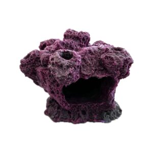7 Hole Sandbed Barnacle Cave Frag Rock