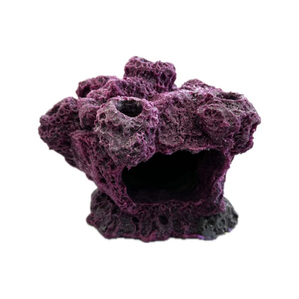 7 Hole Sandbed Barnacle Cave Frag Rock
