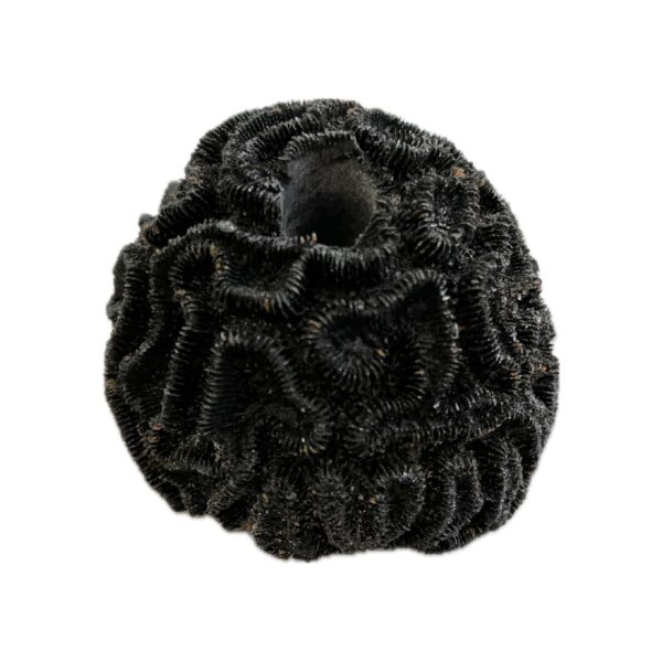 SANDBED 1 Hole Mini Brain Coral Frag Rack/Rock for Live Coral Plug Ons - Image 3