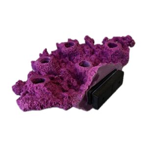 MAGNETIC 5 Hole Shelf Acropora Frag Rack/Rock for Live Coral Plug Ons