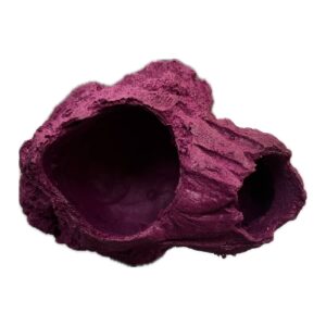 Barnacle Magnetic Fish Swim Through – Artificial Coral Frag Mount and Fish Hangout for Aquarium