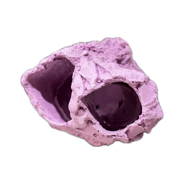 MAGNETIC Barnacle Swim Through Critter Hangout Cave - Image 2