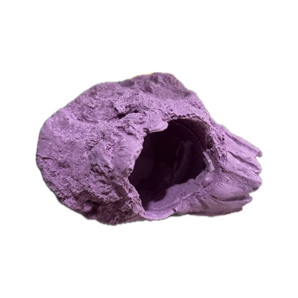 MAGNETIC Barnacle Swim Through Critter Hangout Cave - Image 3