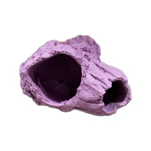 MAGNETIC Barnacle Swim Through Critter Hangout Cave