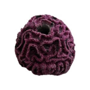 SANDBED 1 Hole Mini Brain Coral Frag Rack/Rock for Live Coral Plug Ons