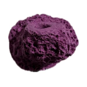 MAGNETIC 1 Hole Frag Rack/Frag Rock for Live Coral Plug Ons/Reef Aquarium - Coralline Purple
