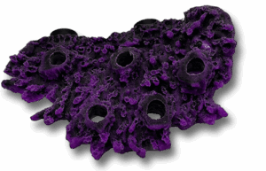 Frag Plug On Rocks and Magnetics