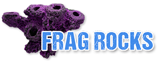LIVE CORAL FRAG PLUG ON ROCKS AND MAGNETICS
