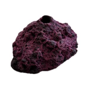 SANDBED 1 Hole Frag Rack/Rock for Live Coral Plug Ons