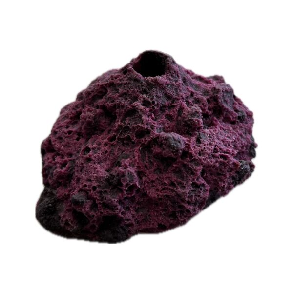 SANDBED 1 Hole Frag Rack/Rock for Live Coral Plug Ons