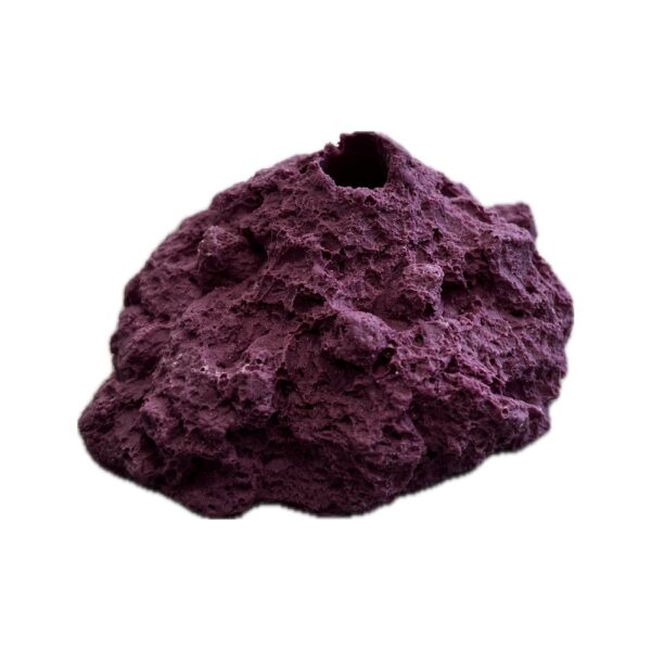 SANDBED 1 Hole Frag Rack/Rock for Live Coral Plug Ons - Image 3