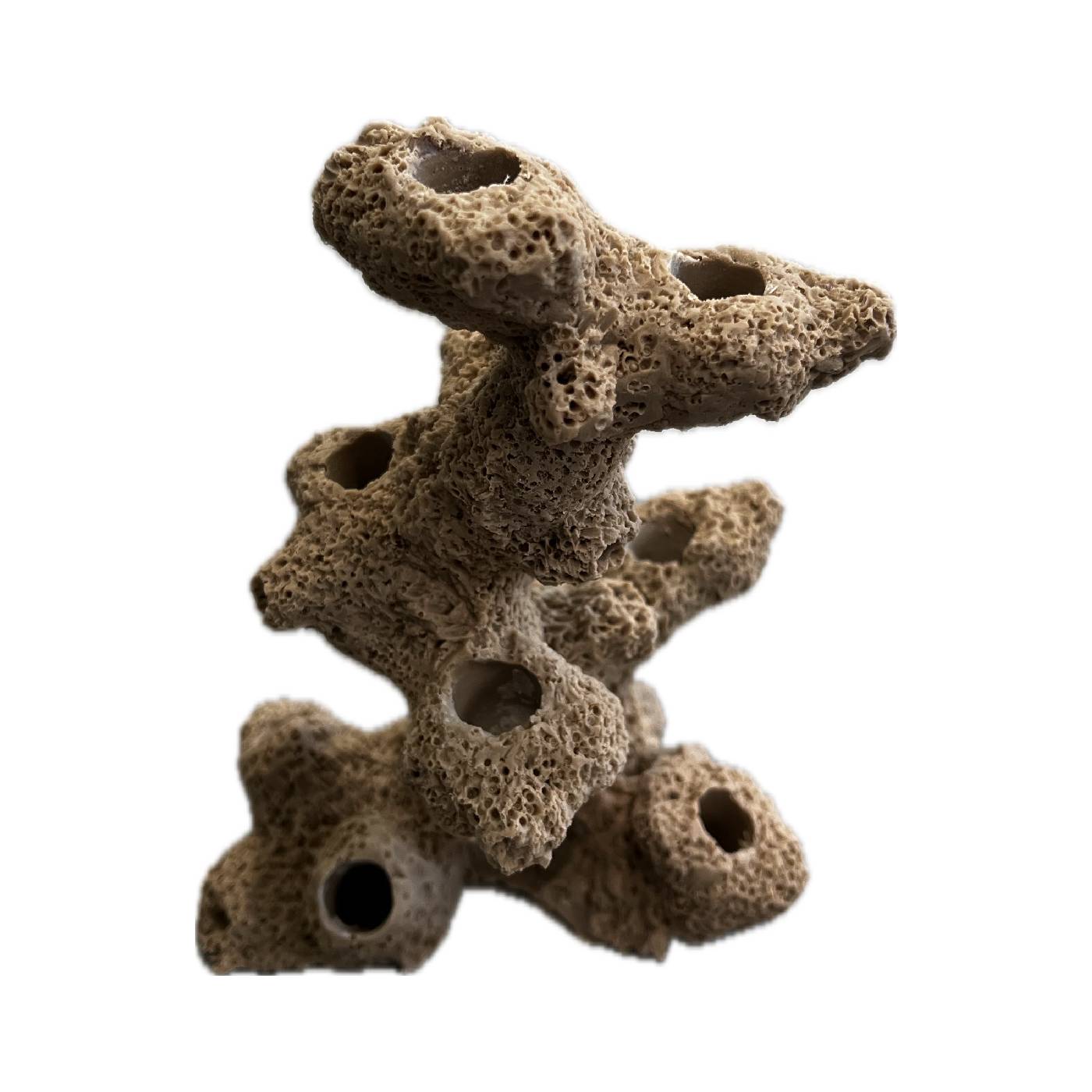 10 Hole Sandbed Torch Tower Coral Frag Plug Rack/Rock for Live Coral Plug Ons - Image 3