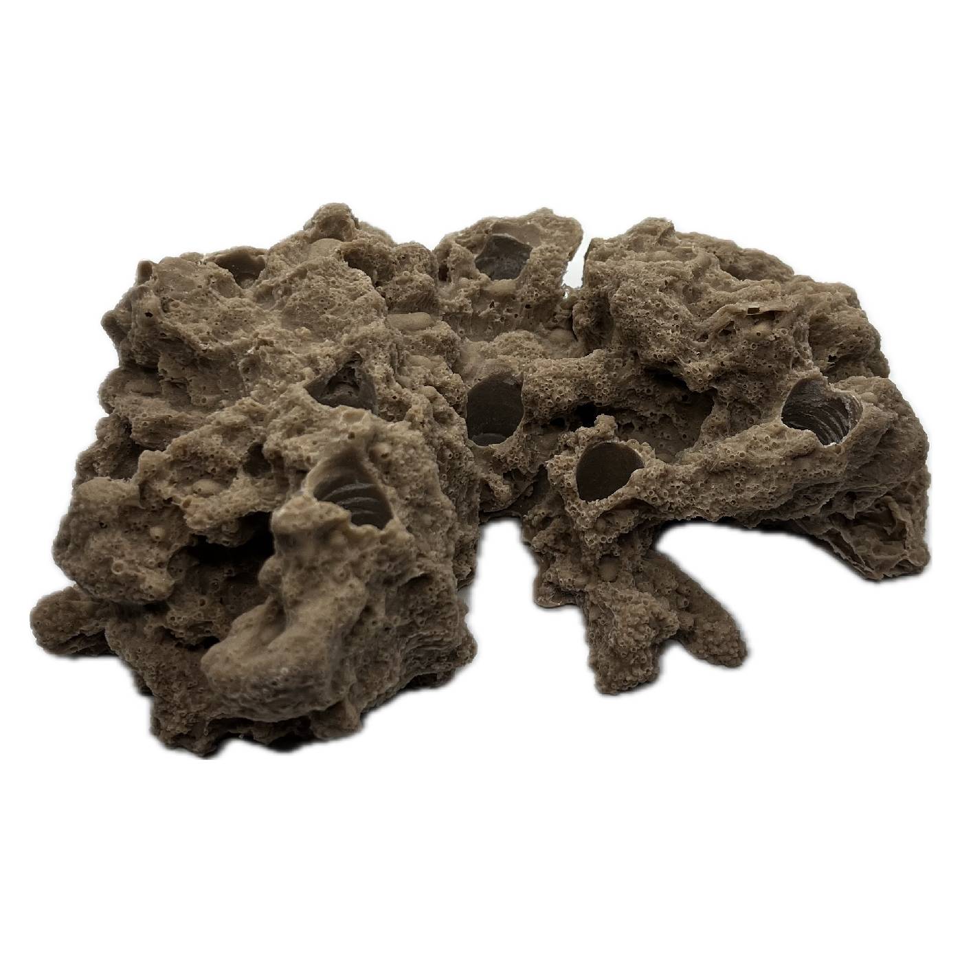 8 Hole Sandbed Frag Rack/Rock base for Live Coral Plug Ons - Image 3