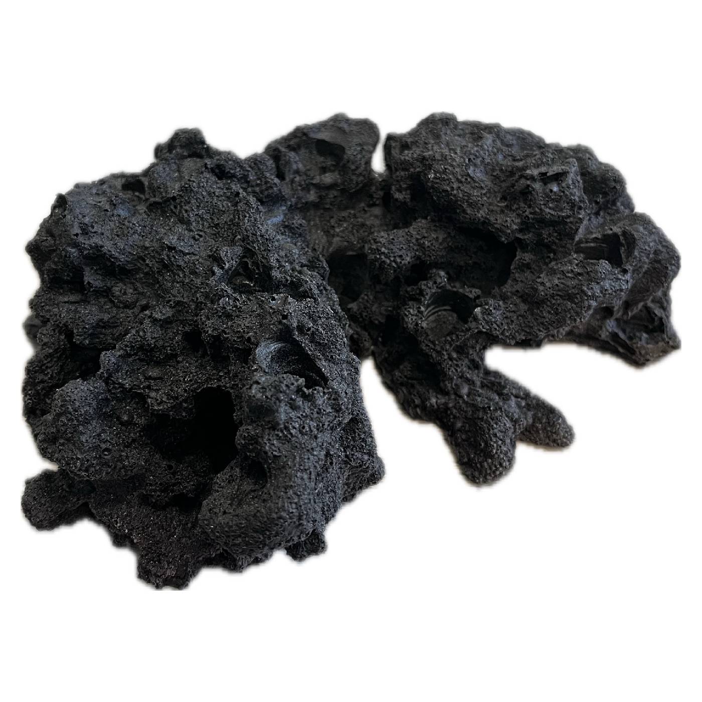 8 Hole Sandbed Frag Rack/Rock base for Live Coral Plug Ons - Image 4