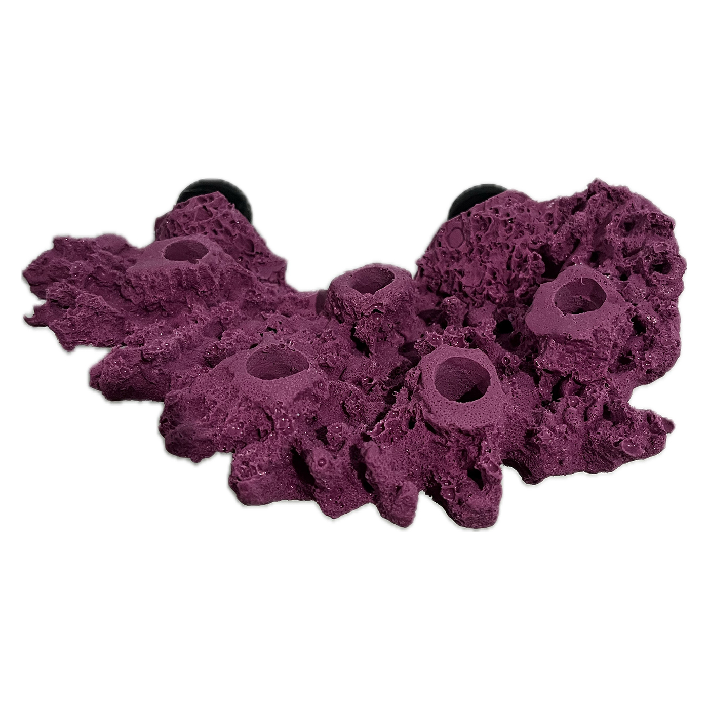 MAGNETIC 5 Hole Shelf Acropora Frag Rack/Rock for Live Coral Plug Ons