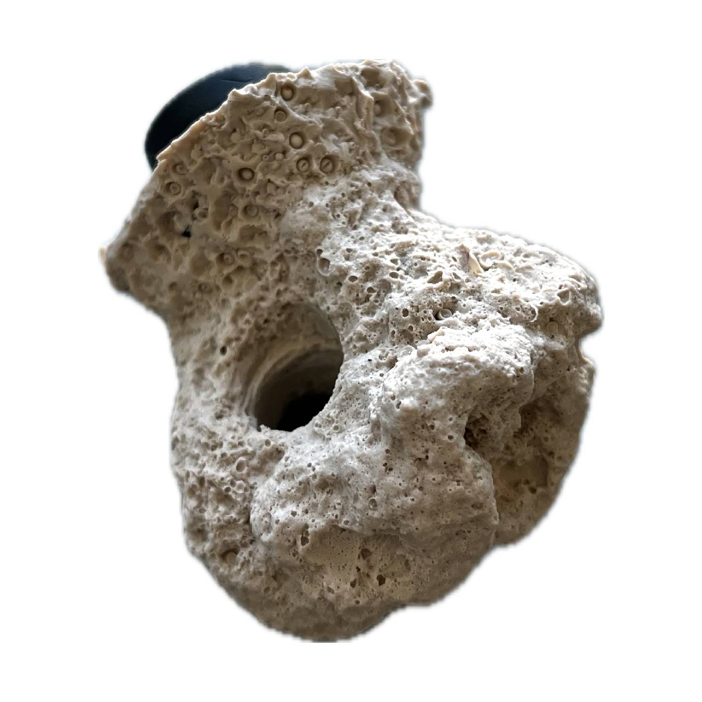 1 Hole Magnetic Frag Rock – Artificial Frag Mount for Aquarium & Reef Tanks - Image 6