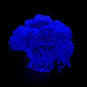 Glow in the dark Barnacle Cave Frag Rock/Frag Rack: 7 Hole Sandbed