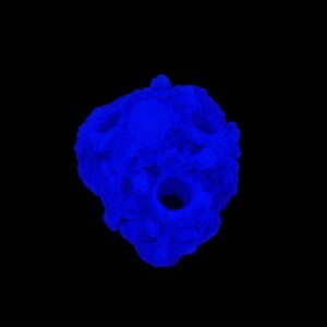 Glow in the dark Frag Rack/Rock: 3 Hole Sandbed