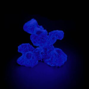 Glow in the dark Torch Tower Frag Rock/Frag Rack: 7-Hole Reef Towering Sandbed