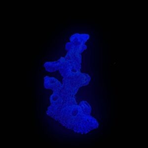 Glow in the dark Torch Tower Frag Rock/Rack – 10 Frag Plug Holes | Sandbed